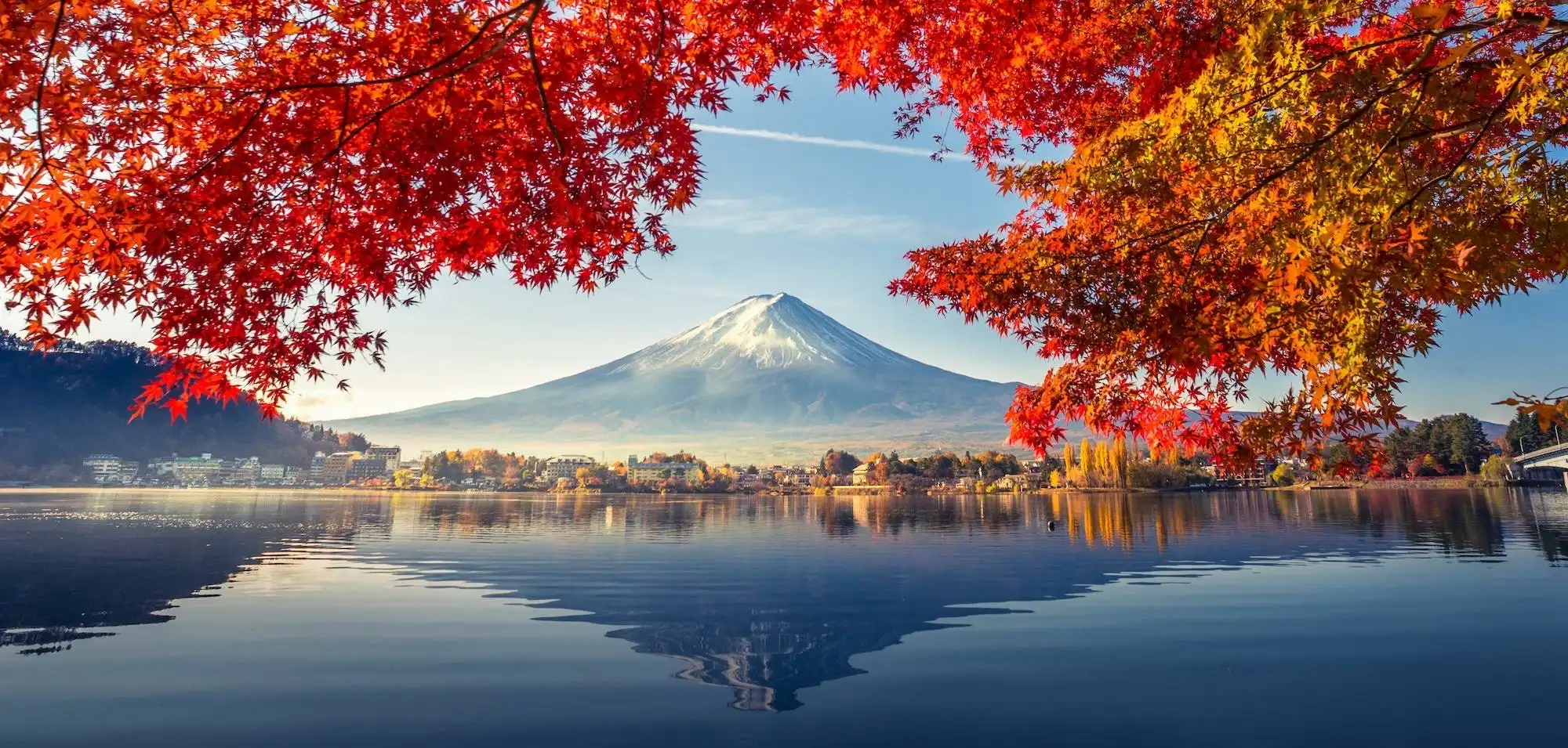摄影比赛“秋季”的作品介绍──枫叶及作品10选。就让我们好好欣赏日本