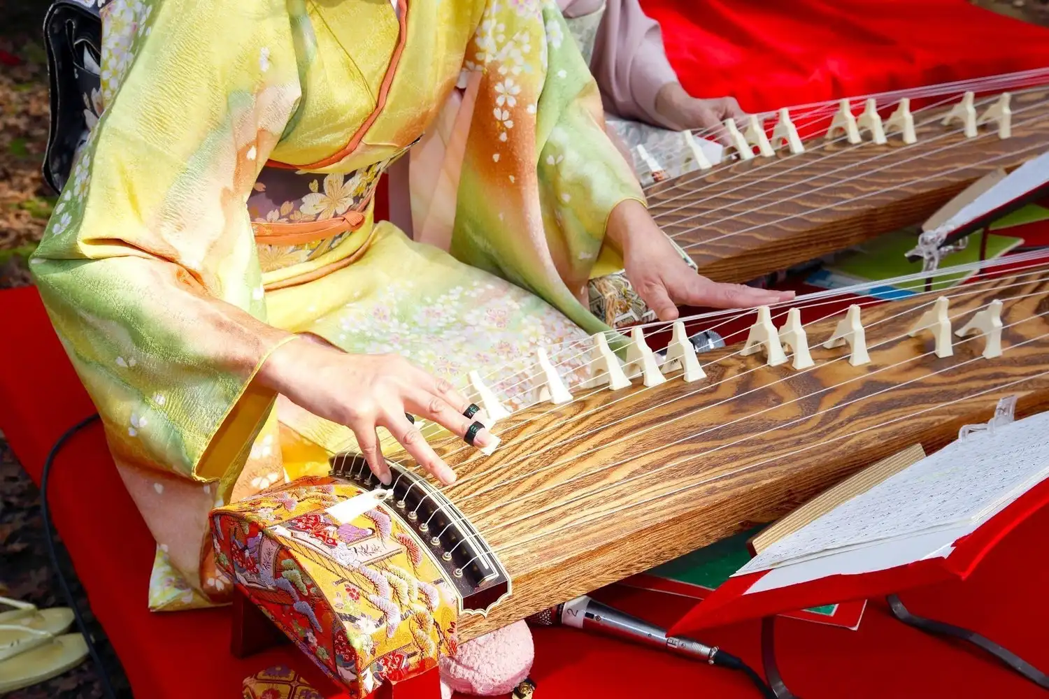 日本自古以来的传统乐器“琴”已经踏进了艺术领域！琴的美丽音色，源自于