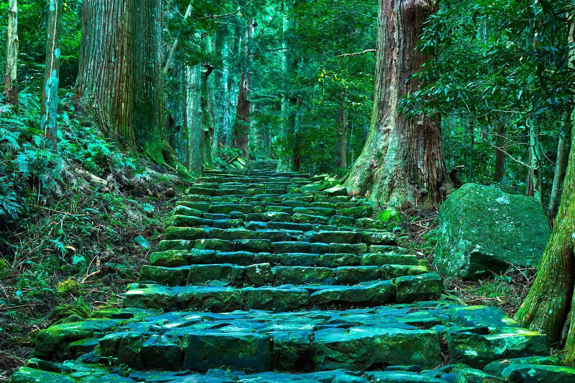 世界遺産 熊野古道 の自然の風景を歩こう 和歌山県の歴史あるパワースポットはインスタ映え間違いなしの石段や御神体の滝が盛りだくさん 観光 旅行 クールジャパンビデオ 日本の観光 旅行 グルメ 面白情報をまとめた動画キュレーションサイト Cool Japan