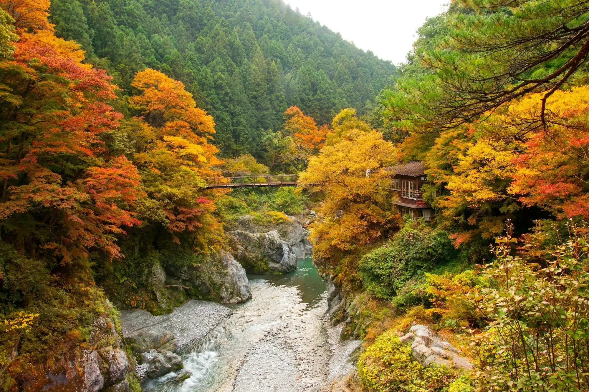 Autumn Leaves and Boulders in Hatonosu Valley! Enjoy Sightseeing and ...