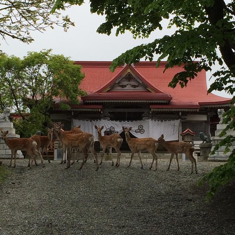 背景画像 釧路國一之宮 厳島神社