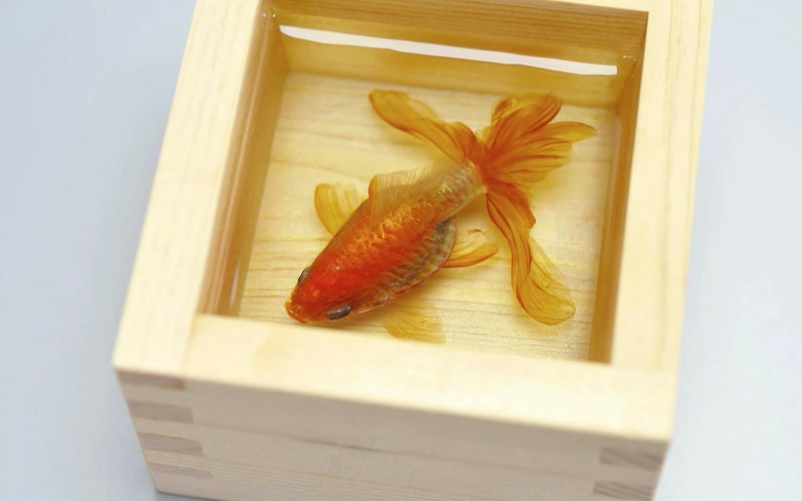 Riusuke Fukahori Kingyo Goldfish Studio Fine Art Book from japan New 