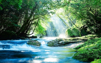 我來教大家熊本縣菊池溪谷的享受方法！熊本觀光中不可或缺的充滿負離子的清流，盡情享受自然！