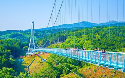介紹靜岡縣「三島天橋」的魅力！拉鍊線、運動等享受方法滿載！