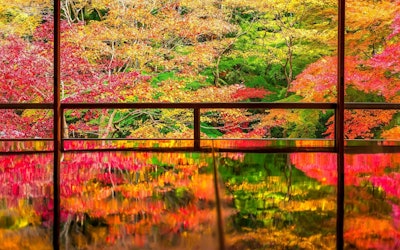 京都の八瀬大原エリアの紅葉の美しさに心奪われる！一面が真っ赤に染まる絶景で日本の四季を感じる！