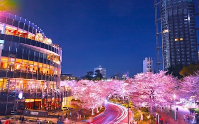 Minato, Tokyo: History, Culture, Nature, and Shopping, All in One Place. Learn All There Is to Know About This Beautiful City.