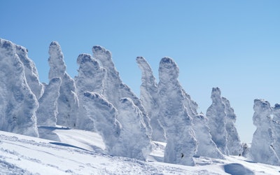 Ani Ski Resort in Kita-Akita City Is Attractive for Its Powdery Snow and Ease With Which You Can Ski! Enjoy Skiing Between the Ice Monsters of Mt. Moriyoshi, One of Japan's Three Major Ice-Covered Mountains!