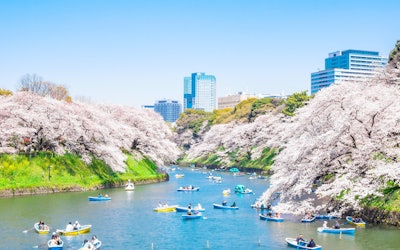 Ichigaya, Tokyo: A Rich Surrounding Area, Full Of Attractions, With Excellent Transportation Access! Check Out These Popular Spots That You Absolutely Can't Miss When Appreciating the History in Tokyo!