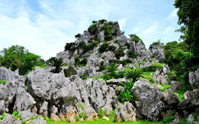 Daisekirinzan - A Place Where You Can Enjoy the Magnificent Nature of Okinawa, Unchanging Since Ancient Times! Leave Behind the Hustle and Bustle of the City on the Famous Trekking Courses!