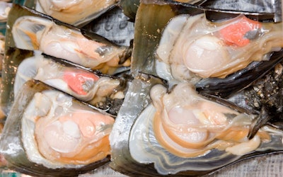 亲自调理牛角江珧蛤并将其化为致高的料理！以江户火盆中的木炭来品尝不逊色于高级餐厅的美味！