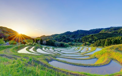 Japan's Traditional Terraced Rice Fields. A Look at the Beautiful Terraced Paddies of Hiratsuka, Chiba!