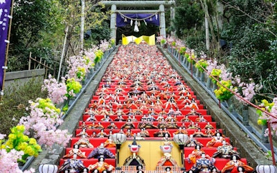 "Katsuura Big Hinamatsuri" Is a Spectacular Event With a Large Number of Hina Dolls Lined Up on the Stone Steps of an Elegant Shrine! Enjoy Japan’s Traditional Celebration "Hina Matsuri" on a Big Scale!