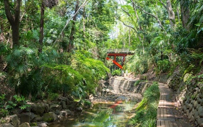 Todoroki Valley Is an Urban Oasis in Setagaya City Where You Can Take a Leisurely Stroll Along a Murmuring Promenade. Take a Trip to This Relaxing Destination in the Big City Where You Can Enjoy Waterfalls, Ancient Tombs, Temples, and More!