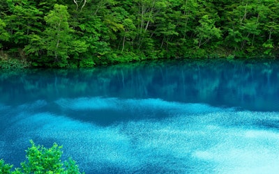 Onuma Pond, Shiga Kogen in Nagano Prefecture - Showcasing the Beauty of Japan's Outdoors. The Contrast Between the Pure Blue Water and the Fresh Greenery Is Picturesque!