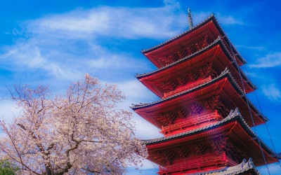 Ikegami-Honmonji Temple - Highlights and History of the Popular Cherry Blossom Temple in Ota, Tokyo!