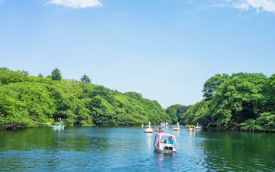 東京的井頭公園是深受年輕人歡迎的街道吉祥寺的綠洲！乘船參加活動，可以盡情享受，這就是井頭公園的魅力！