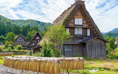 Japan's Skilled Thatchers Work Hard To Preserve the Traditional "Gassho-zukuri" Architecture of Shirakawa-go, a World Heritage Site in Gifu Prefecture. The Large Houses, Built by Highly Skilled Craftsmen, Use Techniques That Have Been Passed Down for Generations