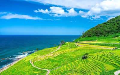 The Beautiful Shiroyone Senmaida Rice Terraces Descending Into the Sea of Japan! The Rice Paddies of Noto Peninsula Are One of the Best Examples of Okunoto Coast's Scenic Beauty! Come Check Out the Terraces, Designated a National “Place of Scenic Beauty”!