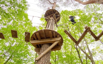 A Thrilling Experience at Nasu, Tochigi’s “NOZARU”! Check Out One of the Largest Adventure Parks in Japan!