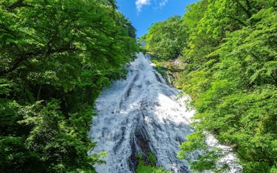 栃木県の奥日光三名瀑のひとつ「湯滝」！自然音と落差50メートル、幅25メートルの迫力ある雄大な映像をご覧あれ