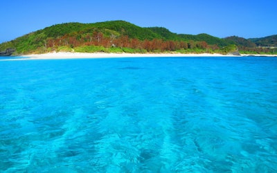 Spend an Extraordinary Time on Zamami Island in Okinawa! The View of the Kerama Blue From the White Sandy Beaches Is Paradisiacal...