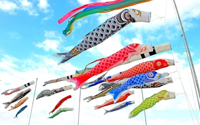 The Gorgeous Carp Streamers of Kazo Saitama; One of the Few Carp Streamer Towns in Japan. The History of These Handmade Crafts and How They're Made!