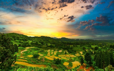 The Hoshitoge Rice Terraces of Niigata Prefecture! Discover the Beautiful Rice Fields of Japan With This Must-See View!