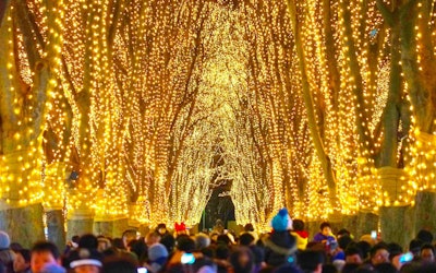 12月の宮城観光で訪れるべき「SENDAI光のページェント」を動画で！ あたたかな光、笑顔とやさしさに包まれた冬の風物詩
