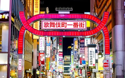 眠らない街・東京都新宿区歌舞伎町の美しいネオンの輝き！東洋一の繁華街が放つ不思議な雰囲気に酔いしれる。