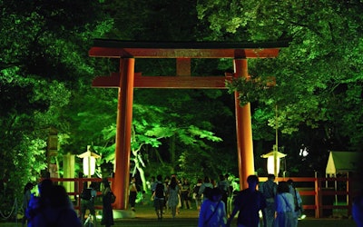 Enjoy the Fantastic Light Art at Shimogamo Shrine in Kyoto's Sakyo Ward! The Light Festival at Tadasu-no-Mori Forest Is an Event That Combines Digital Art and History!