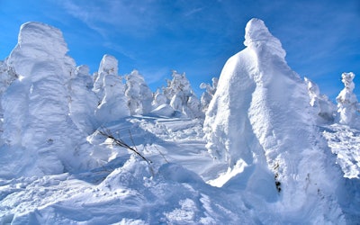 幻想的な樹氷が見渡す限り一面を埋め尽くす蔵王。アイスモンスターと呼ばれ外国人観光客にも大人気の山形県の景色を目に焼き付ける！