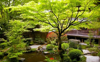 尽情享受京都美丽的日本庭院风景！日本的和的风景令人窒息的美！