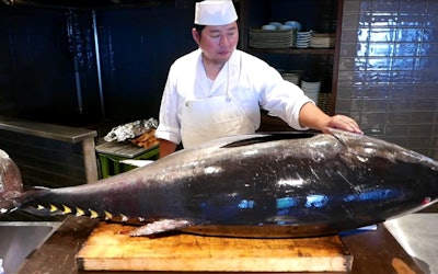 놀라운 거대한 참치가 장인에 의해 절묘한 참치 덮밥으로 다시 태어납니다! 시부야에 있는 Japan Islands Bar의 장인이 다루는 칼이 눈길을 끕니다!