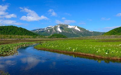 Fukushima Oze - A Plateau Brimming With Natural Scenery! Embark on a Journey Through the Beautiful Scenery of Japan's Four Seasons!