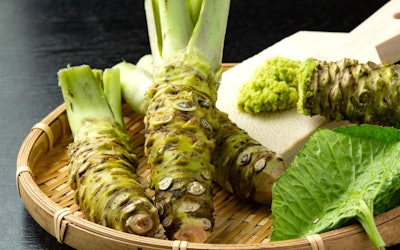Wasabi! How Is It Grown? Why Is It Spicy? What’s the Best Way to Eat It? Everything You Need to Know About the Spicy Green Root!