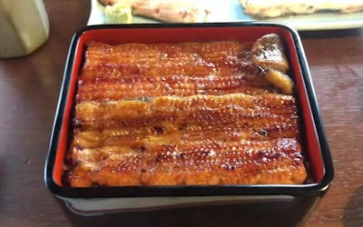 개봉 전에 매진!? 도쿄 아라카와구에 있는 유명한 장어 전문점인 미슐랭 등재 레스토랑 ’오바나’의 최고급 장어는 무엇일까요?