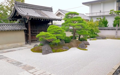 Explore the Beautiful Japanese Atmosphere of Kanchi-in, a Garden at Toji Temple in Kyoto♫ The Temple of Study, Which Has Produced Many Learned Priests, Enshrines the Buddha of Wisdom, "Akasagarbha," One of the Eight Great Bodhisattvas!