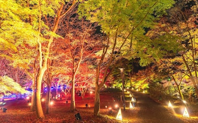 用视频拍摄了枫叶染红的埼玉县国营武藏丘陵森林公园。介绍季节花景！在日本最早的国营公园里和家人一起尽情享受自然和运动吧！