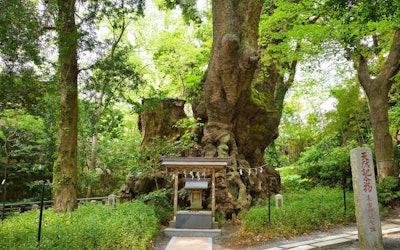 Atami, Shizuoka - A Hot Spring Resort Enjoying Renewed Popularity. Introducing the Hidden Attractions of Atami!