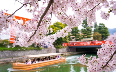 Spring Is a Wonderful Time of Year When the Whole of Kyoto Is Bathed in the Brilliant Colors of Cherry Blossoms! Explore Some of Kyoto’s Most Popular Cherry Blossom Viewing Locations!