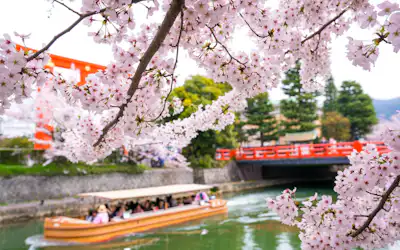 春天是京都整體被櫻花染紅的絕佳季節！京都櫻花的賞花名勝總歸龐大！一舉介紹特別受歡迎的櫻花名勝！