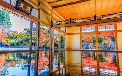 幻想的な美しさ！群馬県桐生市の宝徳寺の「床もみじ」秋の紅葉／新緑の青紅葉も圧巻