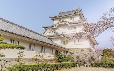 Learn the History of the Warring States Period at Otaki Castle in Chiba Prefecture's Isumi District! The Castle, Built by Tadakatsu Honda, One of the Four Heavenly Kings of the Tokugawa Kingdom, Is One of "Japan's Top 100 Castles"!