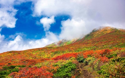 The Carpet of the Gods – Aerial Footage of Autumn Leaves on Mt. Kurikoma. Experience a Sea of Clouds, Sunrise, and Brilliant Autumn Colors on the Mountain Spanning Miyagi, Iwate, and Akita Prefectures!