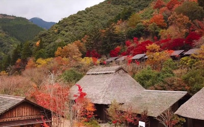 A Paradise Where You Can Enjoy All Four Seasons in Miyazaki! Introducing Popular Sightseeing Spots in Nishimera, Where the Wonders of Japan Can Be Found!