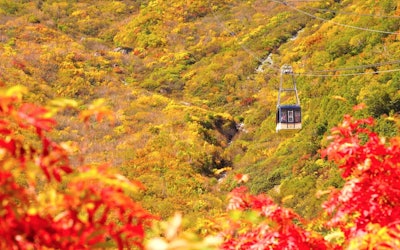 View Nature From the Sky on the Tateyama Ropeway in Toyama Prefecture! A Must-Visit Spot With Spectacular Views That Change With the Seasons!