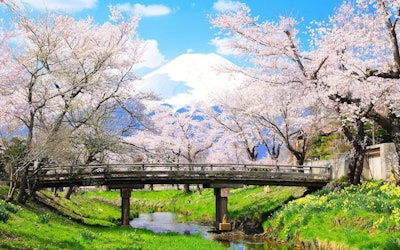 The Graceful Sight of the World-Famous Mount Fuji Can Be Enjoyed From All Over Japan. This Article Will Help You Find a Spot to View Mt. Fuji That’s Just Right for You!