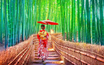 在京都可以欣赏到传统寺庙和美丽风景的地方在哪里？想享受庆典和传统文化！检查旅游要点及示范路线！