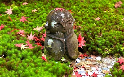 德川家康悠闲的土地，京都「圆光寺」的枫叶随风摇曳的情景通过4K动画！介绍枫叶季节、看点和周边旅游景点