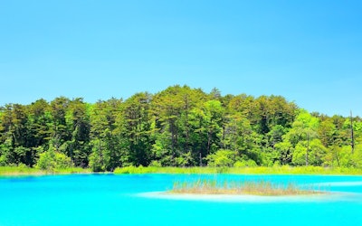 This Place Screams Instagram! The Cobalt Blue Waters of Fukushima's "Goshikinuma" Are Out of This World!